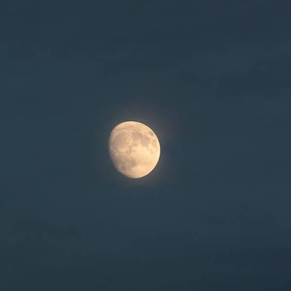 栗名月、十三夜の月