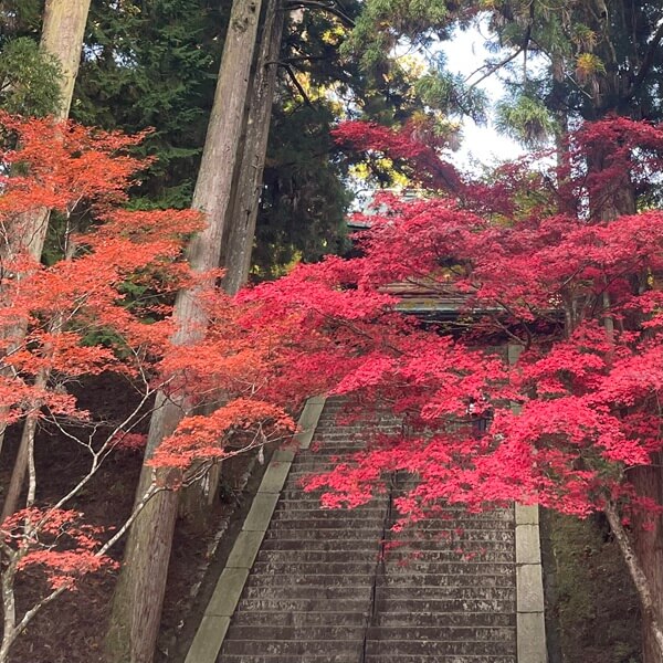 比叡山の紅葉