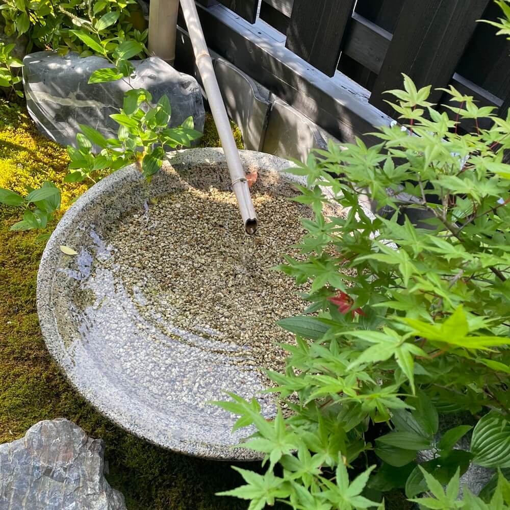 千紀園中庭の蹲