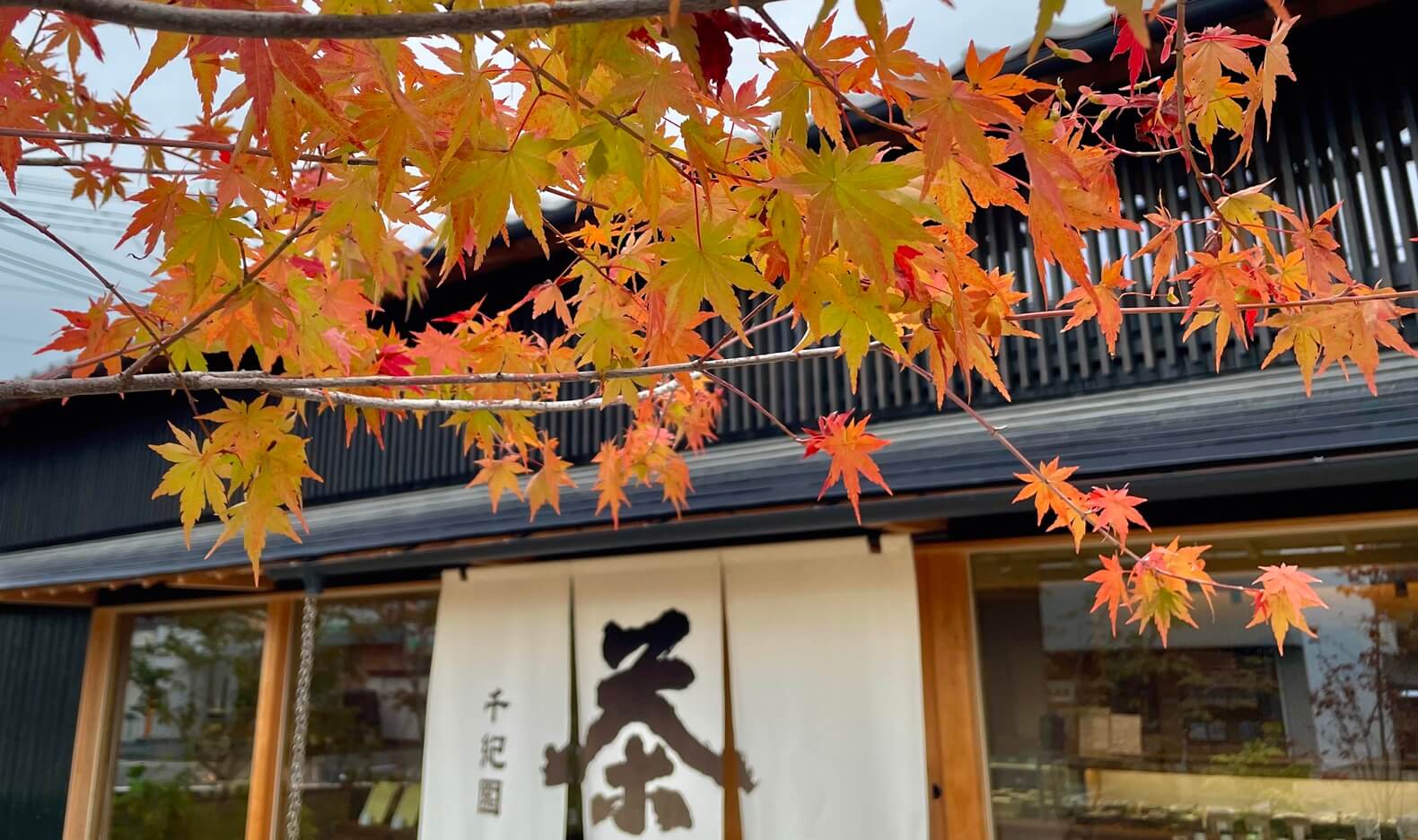 紅葉と草津本店アイキャッチ画像