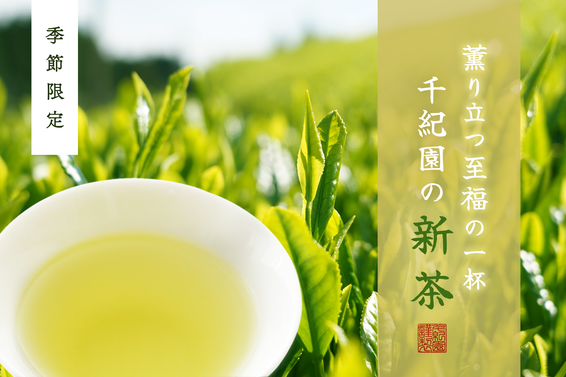 2026千紀園の新茶特集